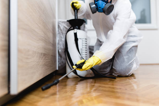 Best Mosquito Control Services  in Grand Saline, TX