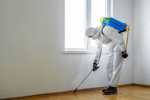 Pest Control Cost in Grand Saline, TX