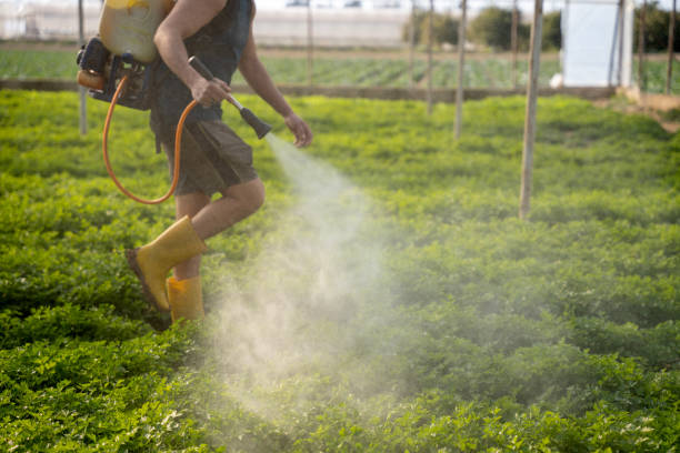  Grand Saline, TX Pest Control Pros