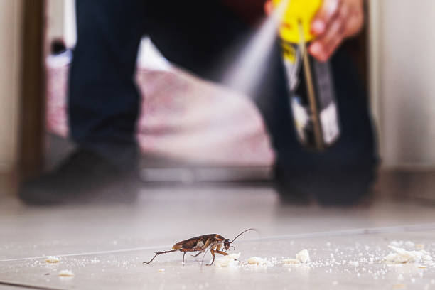 Pest Control for Restaurants in Grand Saline, TX